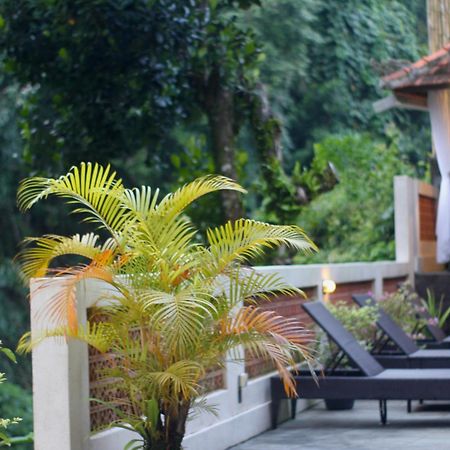 Hanaka Riverside Ubud エクステリア 写真