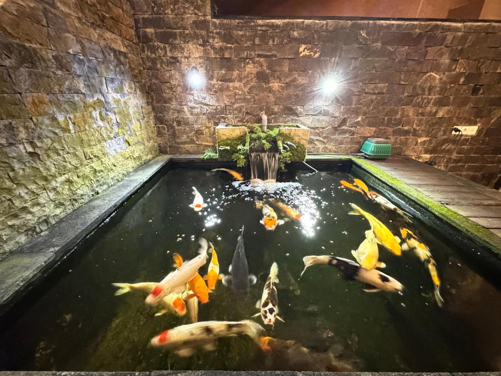 Hanaka Riverside Ubud エクステリア 写真