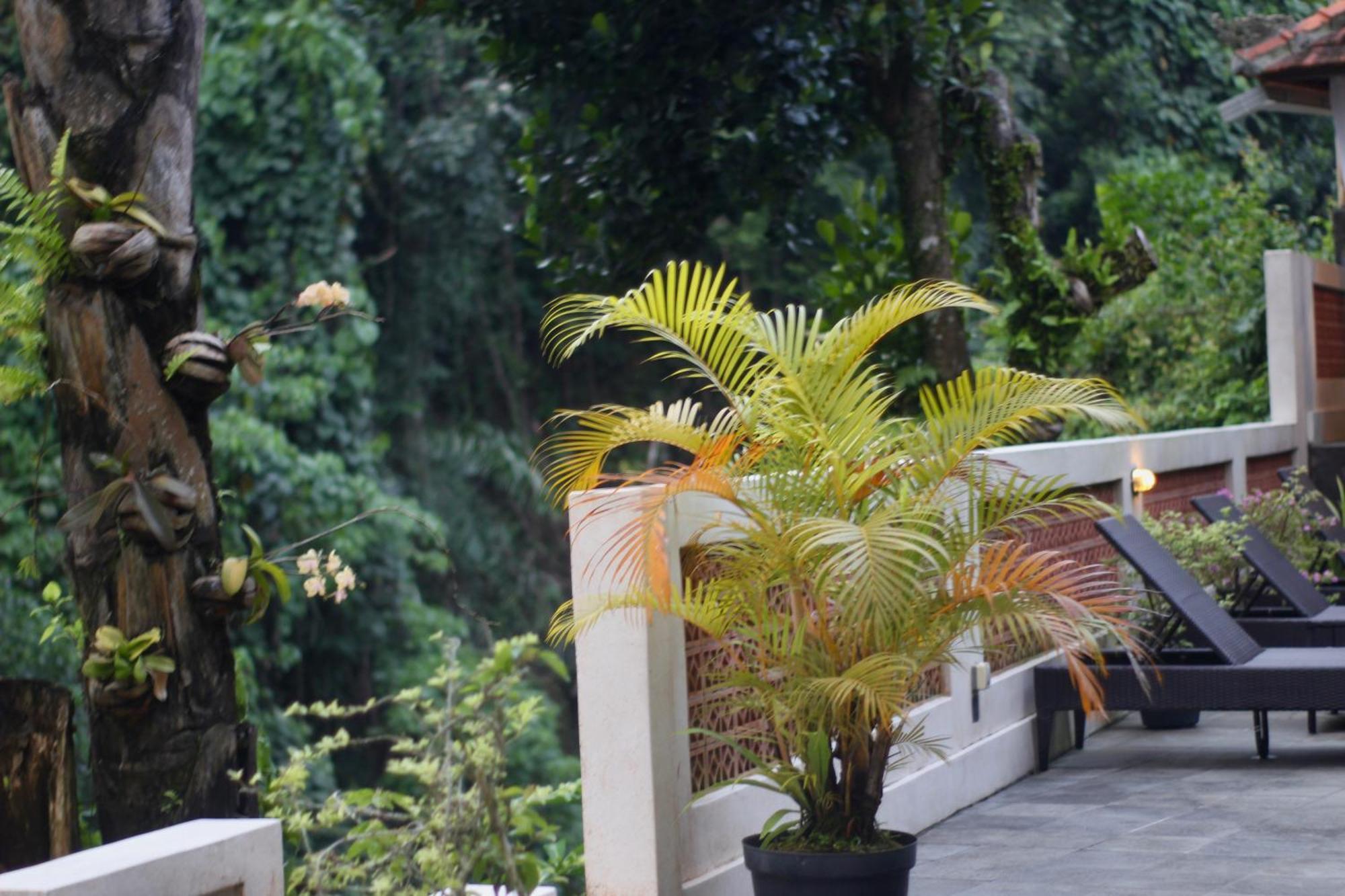 Hanaka Riverside Ubud エクステリア 写真