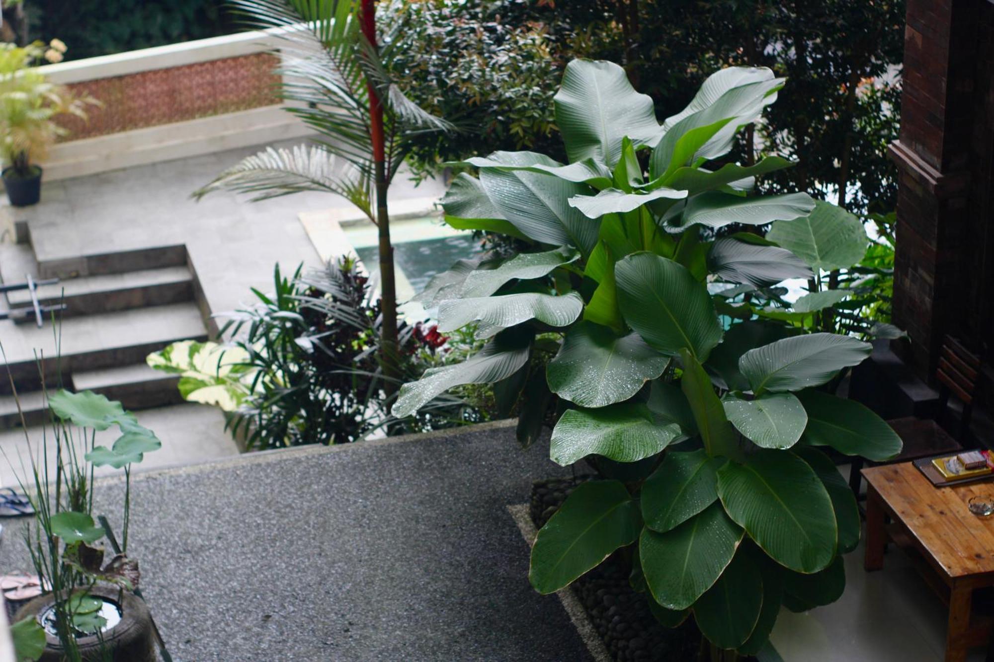 Hanaka Riverside Ubud エクステリア 写真