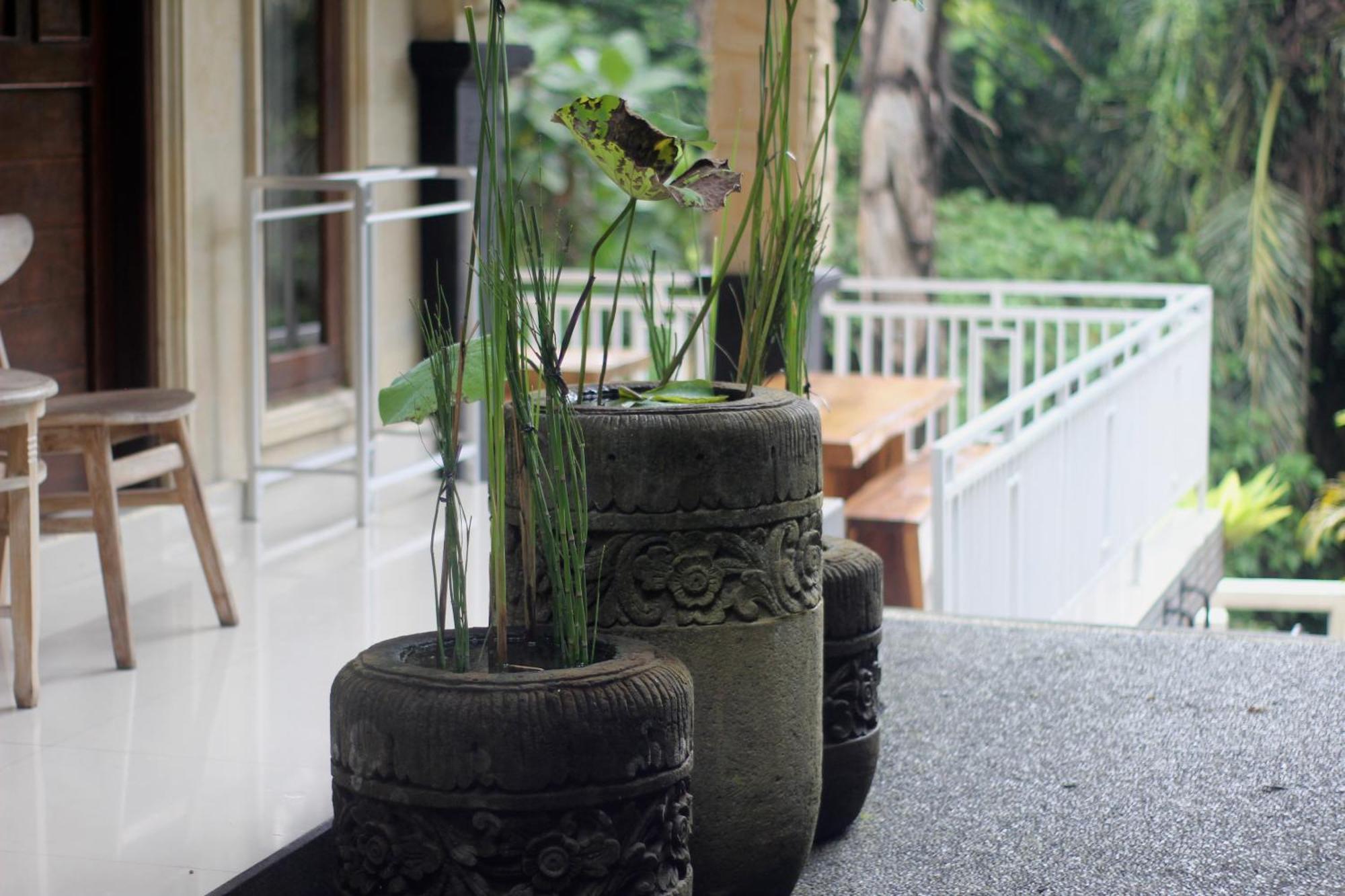 Hanaka Riverside Ubud エクステリア 写真