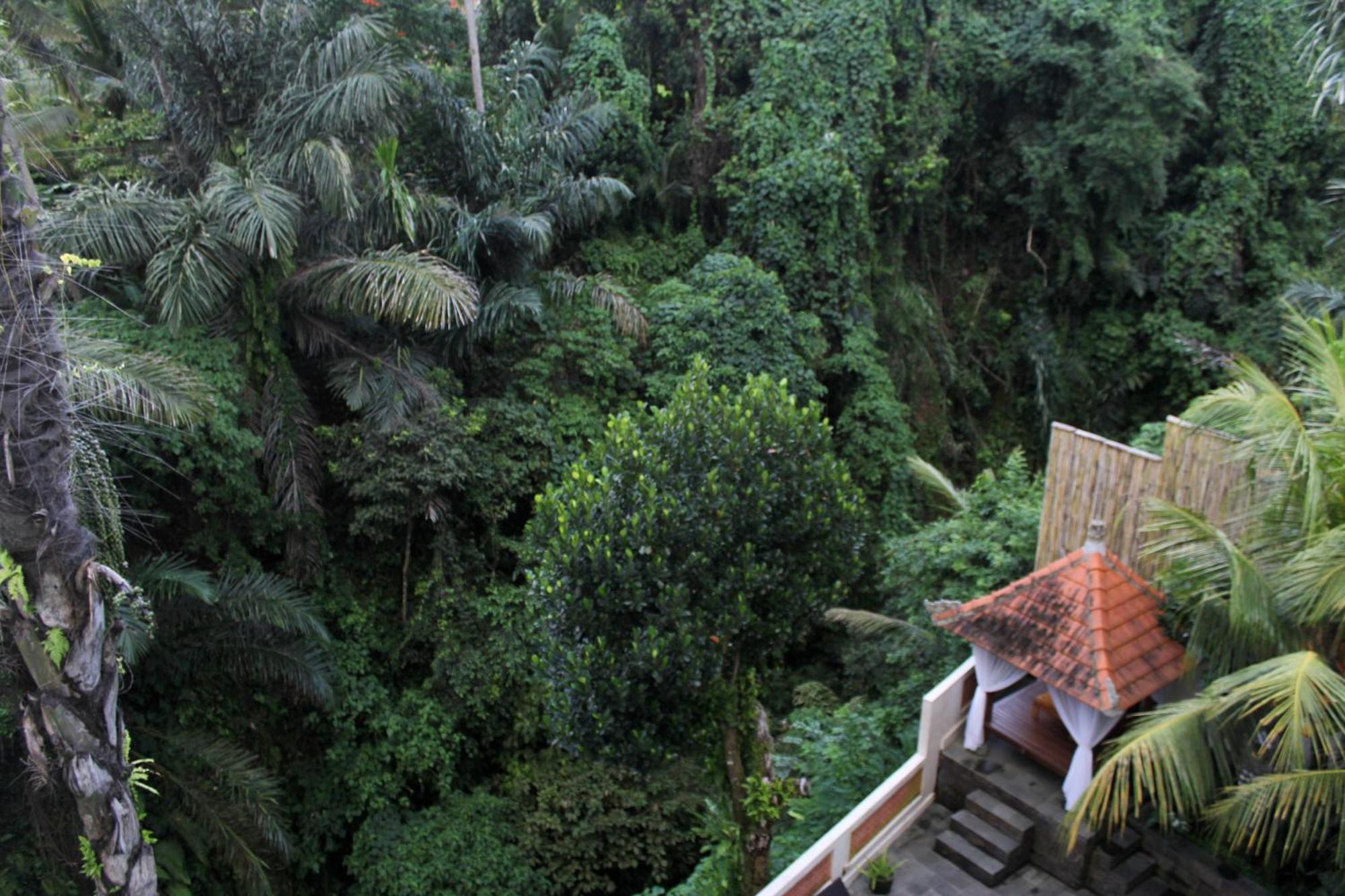 Hanaka Riverside Ubud エクステリア 写真
