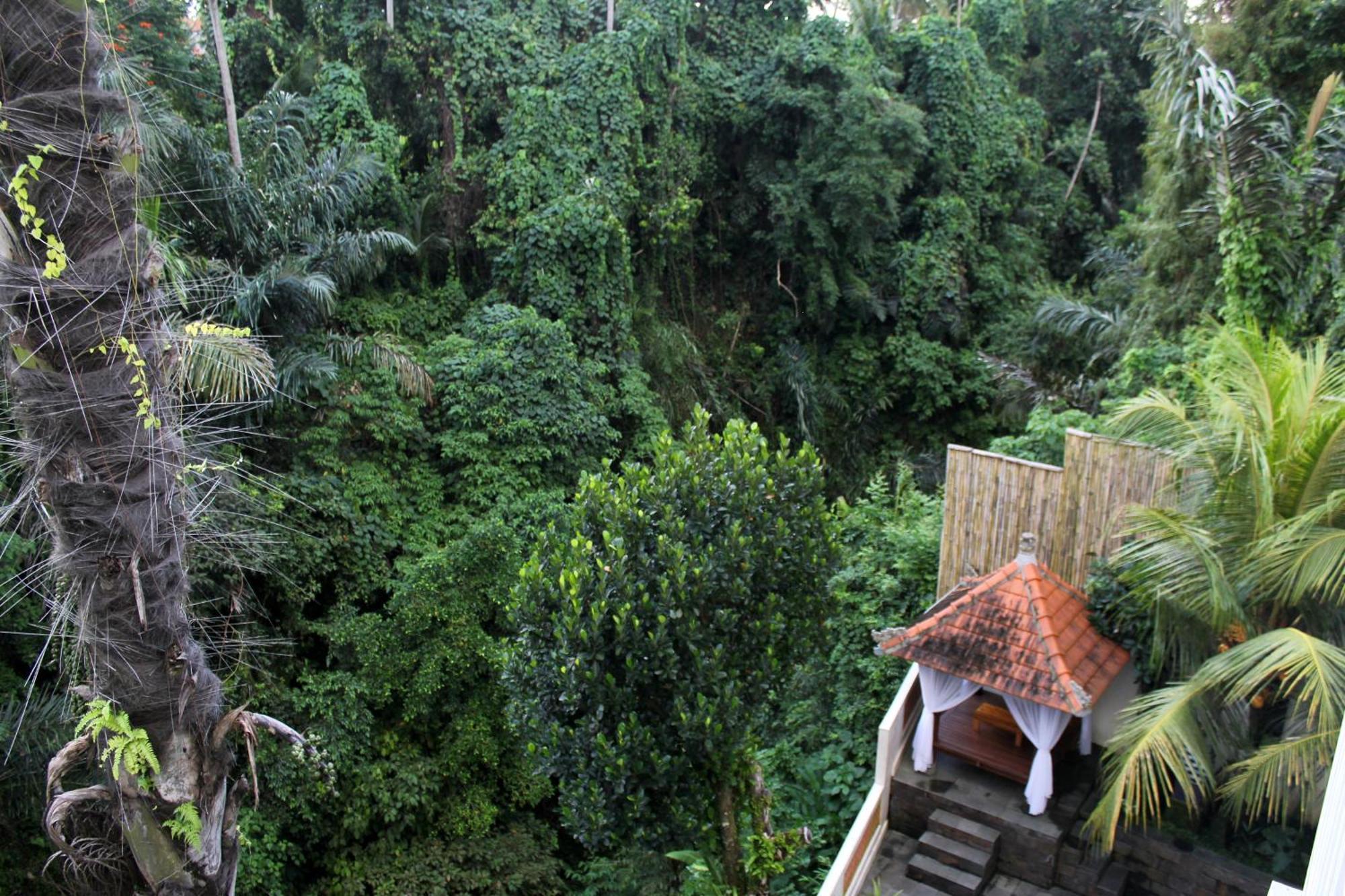 Hanaka Riverside Ubud エクステリア 写真