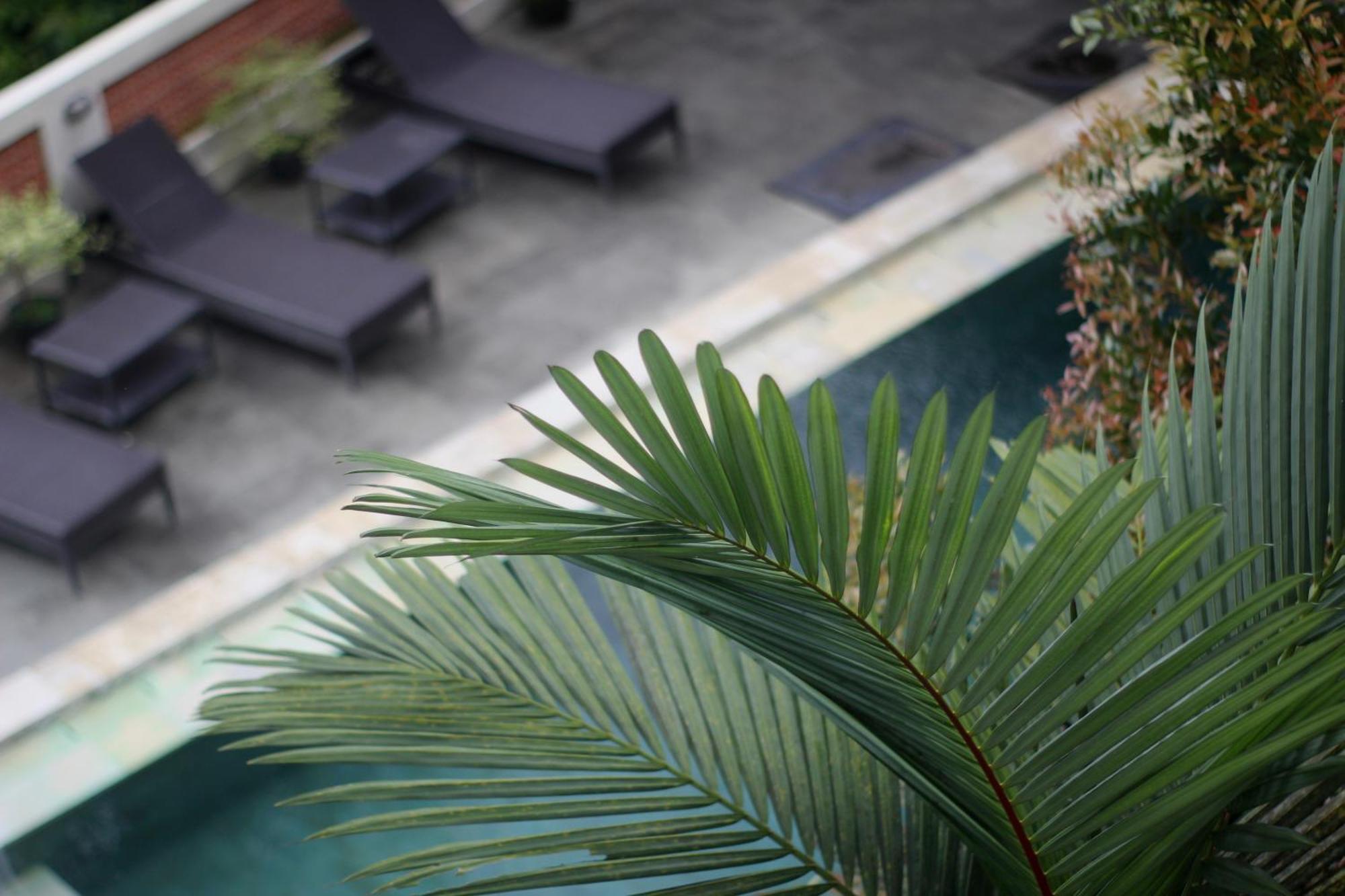 Hanaka Riverside Ubud エクステリア 写真